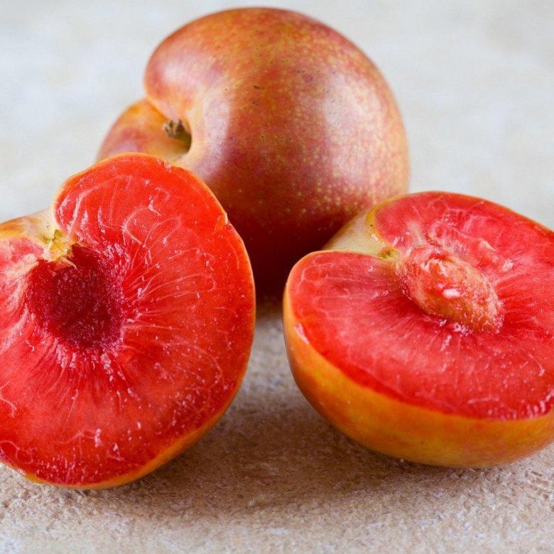 Слива Шарафуга